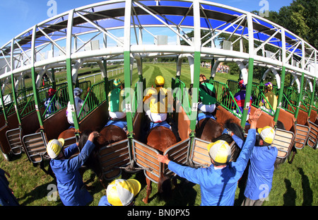 Pferde und jockeys in Startboxen, Iffezheim, Baden-Wurttemberg Stockfoto