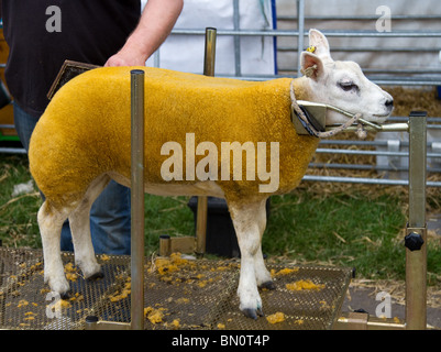 Die große Royal Highland Show 2010  Scottish Agricultural Society of Scotland, UK statt an Ingliston, Edinburgh, Scotland, UK Stockfoto