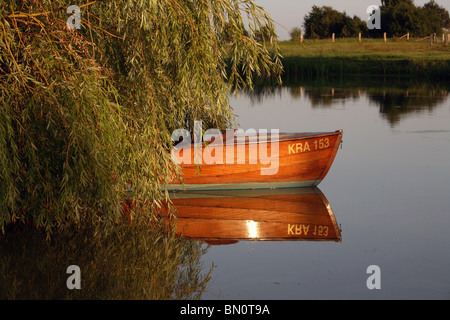 Eine leere Holzboot unter einer Weide, Prangendorf, Deutschland Stockfoto