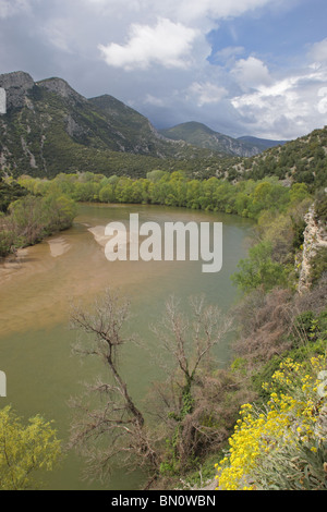 Nestos Fluss, geschützten Bereich "schlängelt sich der Nestos Fluss", Nord-Griechenland Stockfoto