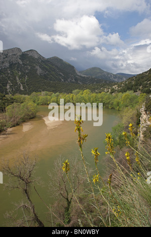 Nestos Fluss, geschützten Bereich "schlängelt sich der Nestos Fluss", Nord-Griechenland Stockfoto