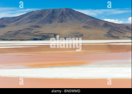Laguna Colorada, rote Lagune Altiplano flachen Salzsee, Potosi, Bolivien Stockfoto