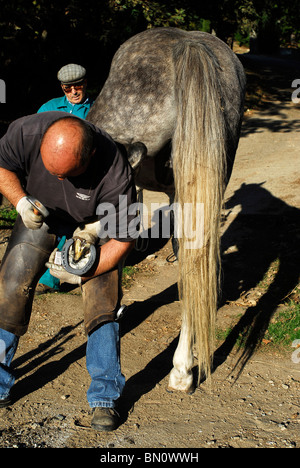 Herrero Cambiando Herradura. Provincia de Salamanca. España. Schmied Hufeisen in Salamanca Provinz ändern. Spanien Stockfoto