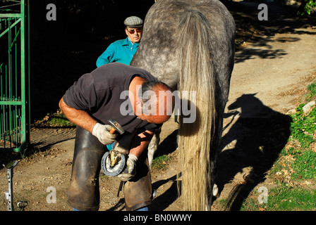 Herrero Cambiando Herradura. Provincia de Salamanca. España. Schmied Hufeisen in Salamanca Provinz ändern. Spanien Stockfoto