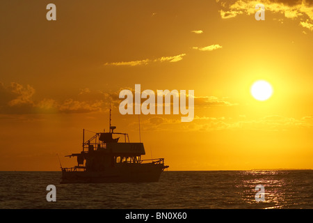 Boot vor Anker in den Whitsunday Islands Great Barrier Reef in Australien Stockfoto