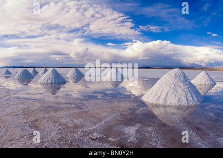 Salz-Kegel, Salar de Uyuni, Potosi, Bolivien Stockfoto