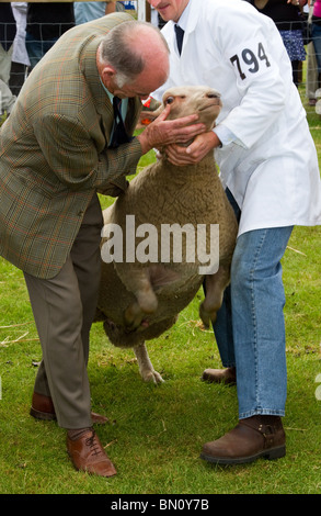 Die große Royal Highland Show 2010  Scottish Agricultural Society of Scotland, UK statt an Ingliston, Edinburgh, Scotland, UK Stockfoto