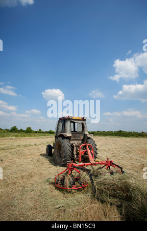 rotierenden Rechen und Traktor Stockfoto