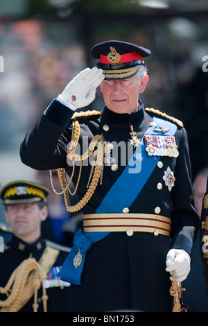 Großbritanniens Prinz Charles nimmt den Gruß an die Armed Forces Day Parade im Stadtzentrum von Cardiff Stockfoto