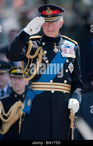 Großbritanniens Prinz Charles nimmt den Gruß an die Armed Forces Day Parade im Stadtzentrum von Cardiff Stockfoto