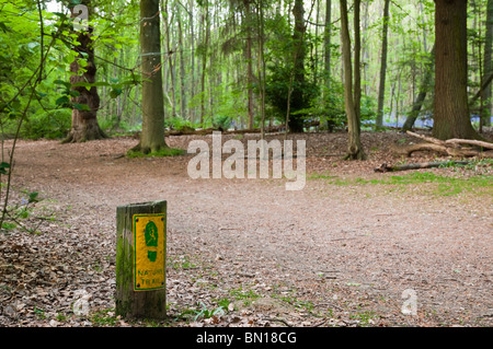 Weg durch Whippendell Wald, Watford, Hertfordshire, UK Stockfoto