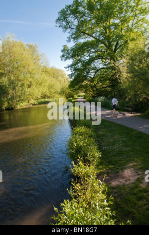 Ein Mann zu Fuß einen golden Retriever einen Kanal Weg Stockfoto