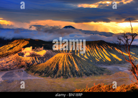 Nationalpark Bromo-Tengger-Semeru. Java. Indonesien Stockfoto