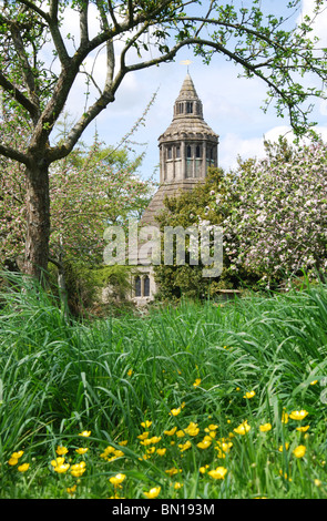 Des Abtes Küche im Frühjahr, Glastonbury Abbey UK Stockfoto