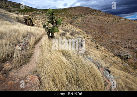 Ruinen von Chicomostoc (ca. 300-1200), La Quemada, state Zcatecas, Mexiko Stockfoto