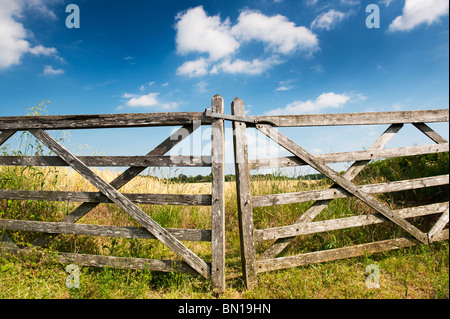 Alte fünf bar Holz- toren vor ein Feld von Gerste in der englischen Landschaft. Oxfordshire, England Stockfoto