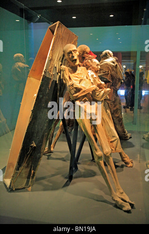 Die Mumien Museum, Guanajuato, Bundesstaat Guanajuato, Mexiko Stockfoto