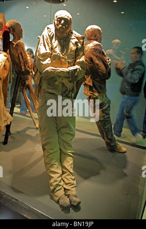 Die Mumien Museum, Guanajuato, Bundesstaat Guanajuato, Mexiko Stockfoto