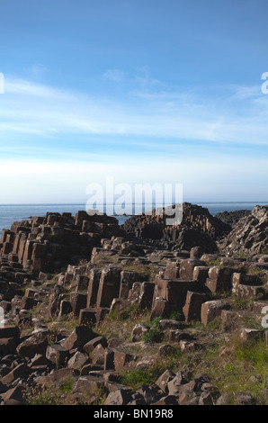 Basalt Felsen, Giant es Causeway, County Antrim, Nordirland Stockfoto