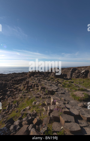 Basalt Felsen, Giant es Causeway, County Antrim, Nordirland Stockfoto