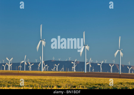 Windpark, reifen Weizen & Brache Felder Stockfoto