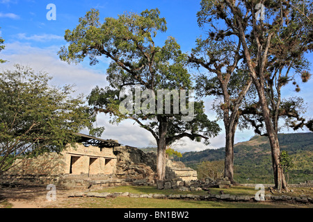 Maya-Ruinen, Tempel 22, Copan (Honrduras), Guatemala Stockfoto