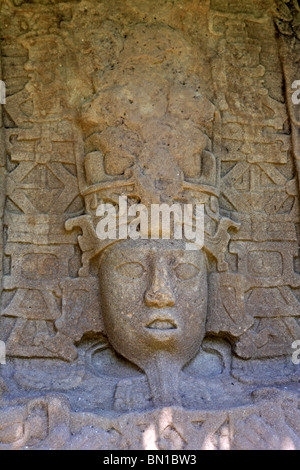 Maya Ruinen, Grand Plaza, steinerne Stele (8. Jahrhundert), Quirigua, Guatemala Stockfoto