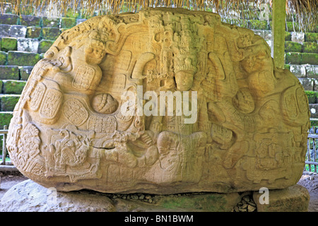 Maya Ruinen, Grand Plaza, steinerne Stele (8. Jahrhundert), Quirigua, Guatemala Stockfoto