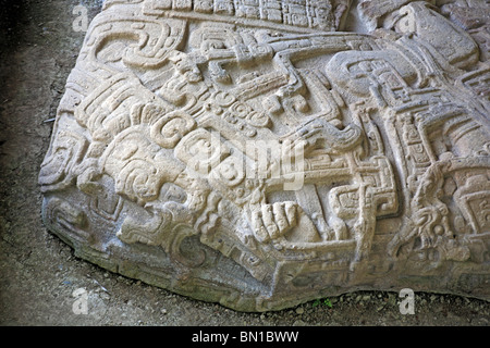 Maya Ruinen, Grand Plaza, steinerne Stele (8. Jahrhundert), Quirigua, Guatemala Stockfoto