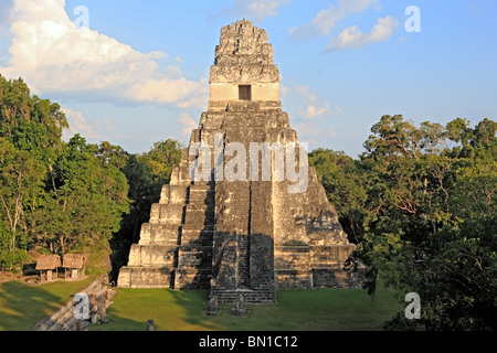 Tempel I, Maya Ruinen von Tikal, in der Nähe von Flores, Guatemala Stockfoto