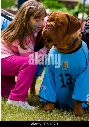 Hund trägt uruguayischen Fußballtrikot feiert das erste Viertelfinale in 40 Jahren nach einem Sieg über Südkorea Stockfoto