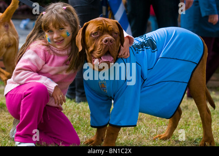 Hund trägt uruguayischen Fußballtrikot feiert das erste Viertelfinale in 40 Jahren nach einem Sieg über Südkorea Stockfoto