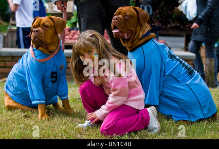 Hund trägt uruguayischen Fußballtrikot feiert das erste Viertelfinale in 40 Jahren nach einem Sieg über Südkorea Stockfoto