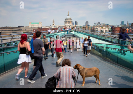 Reicher Mann, armer Mann, Bettler Mann auf Millennium Bridge London Blick auf St. Pauls Cathedral. Stockfoto