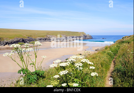 Porth Witz Strand im Westen Pentire in der Nähe von Newquay in Cornwall, Großbritannien Stockfoto