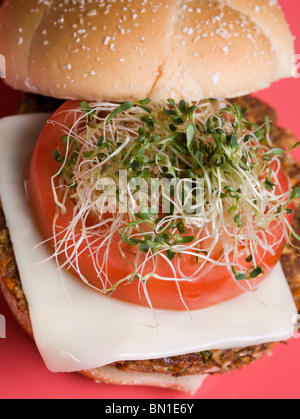 Vegetarische Tofu-Burger mit Soja-Mozzarella-Käse und Alfalfasprossen Stockfoto