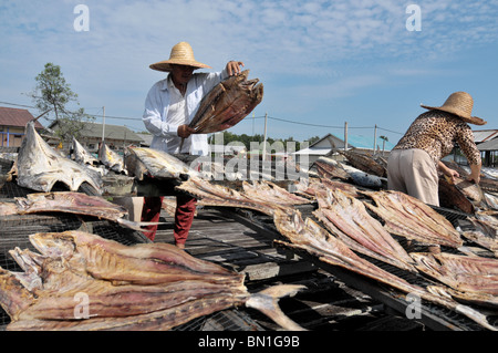 Die Lebensweise der Bewohner auf Pulau Ketam oder Carey Insel vor Kuala Selangor, Malaysia Stockfoto