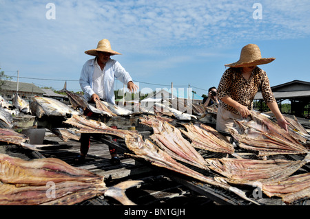 Die Lebensweise der Bewohner auf Pulau Ketam oder Carey Insel vor Kuala Selangor, Malaysia Stockfoto