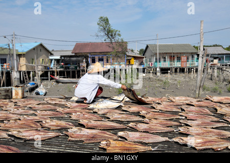 Die Lebensweise der Bewohner auf Pulau Ketam oder Carey Insel vor Kuala Selangor, Malaysia Stockfoto