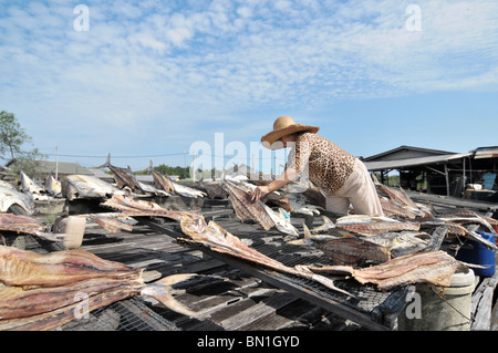 Die Lebensweise der Bewohner auf Pulau Ketam oder Carey Insel vor Kuala Selangor, Malaysia Stockfoto