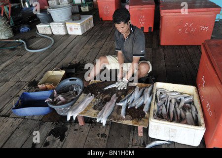 Die Lebensweise der Bewohner auf Pulau Ketam oder Carey Insel vor Kuala Selangor, Malaysia Stockfoto