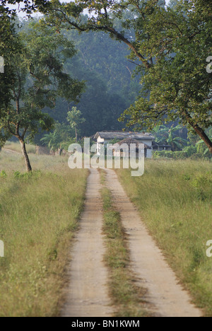 Waldweg zur Bishnupura Maidan, Wald Camp, Kanha Nationalpark Stockfoto