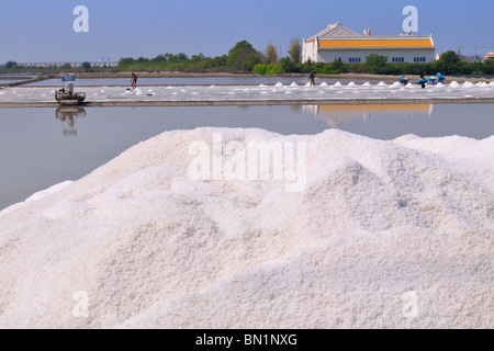 Salz-Farm in Samut Sakhon Provinz an der Küste des Golfs von Thailand Stockfoto