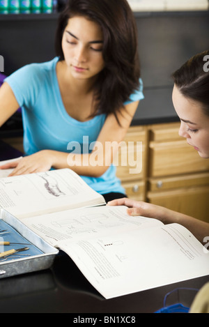 Schülerinnen und Schüler gemeinsam studieren Stockfoto