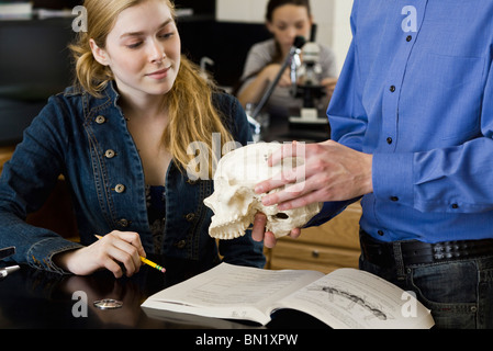 Lehrer zeigt Schädel, Schüler in der Klasse der Anatomie Stockfoto