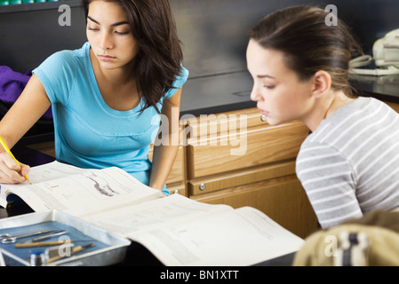 Schülerinnen und Schüler gemeinsam studieren Stockfoto