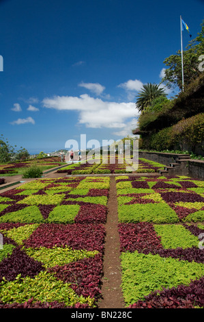 Portugal Insel Madeira, Funchal. Botanischer Garten (aka Jardim Botanico), 1960 gegründet. Stockfoto