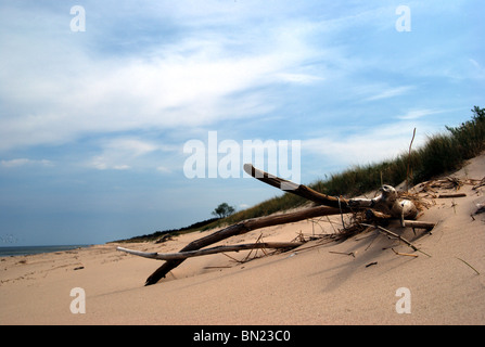 Ostsee-Dünen Stockfoto