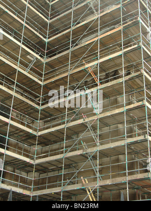 Naturschutz - St Pauls Cathedral Stockfoto