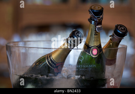 Champagner-Flaschen in einen Eimer Stockfoto